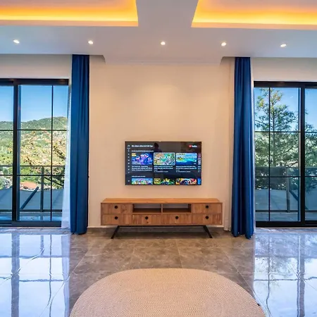 Hill Stone Villa