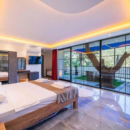 Hill Stone Villa